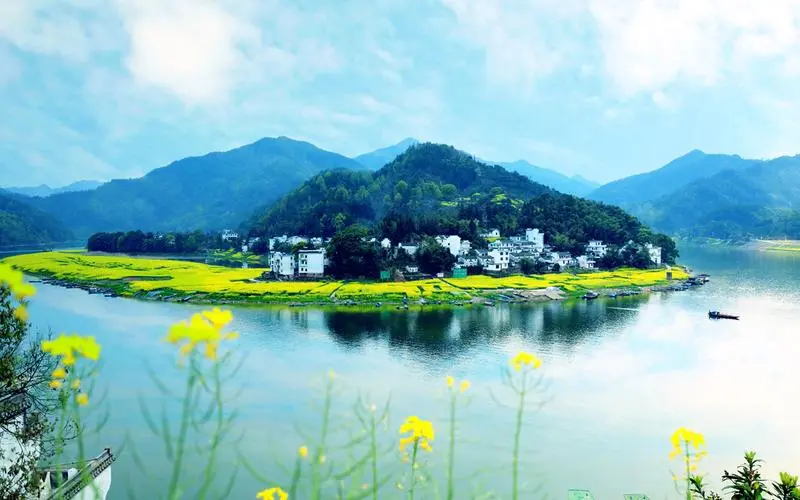 节能全自动绿色